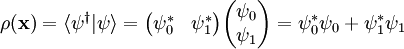 \rho(\mathbf{x}) = \langle \psi^\dagger| \psi \rangle = \begin{pmatrix} \psi_0^* & \psi_1^* \end{pmatrix} \begin{pmatrix} \psi_0 \\ \psi_1 \end{pmatrix} = \psi_0^*\psi_0 + \psi_1^*\psi_1