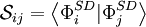 \mathcal{S}_{ij} = \left\langle \Phi_i^{SD} | \Phi_j^{SD} \right\rangle