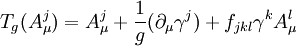 T_g(A_\mu^j) = A_\mu^j + \frac{1}{g}(\part_\mu \gamma^j) + f_{jkl}\gamma^k A_\mu^l