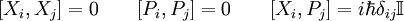 [X_i,X_j]=0 \qquad [P_i,P_j]=0 \qquad [X_i,P_j]=i\hbar \delta_{ij}\mathbb{I}