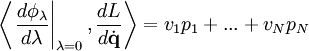 \left \langle \left . \frac{d\phi_\lambda}{d\lambda}\right \vert_{\lambda=0}, \frac{dL}{d\dot\mathbf{q}}\right\rangle = v_1p_1 + ... + v_Np_N