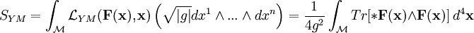 S_{YM} = \int_\mathcal{M} \mathcal{L}_{YM}(\mathbf{F}(\mathbf{x}),\mathbf{x}) \left(\sqrt{|g|} dx^1\land ...\land dx^n\right) = \frac{1}{4g^2} \int_\mathcal{M} Tr[*\mathbf{F}(\mathbf{x})\wedge \mathbf{F}(\mathbf{x})]\ d^4\mathbf{x}