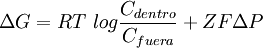 \Delta G = RT\ log \frac{C_{dentro}}{C_{fuera}}+ZF \Delta P